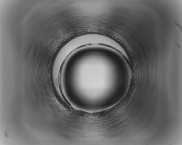 X0000102800593200808181202