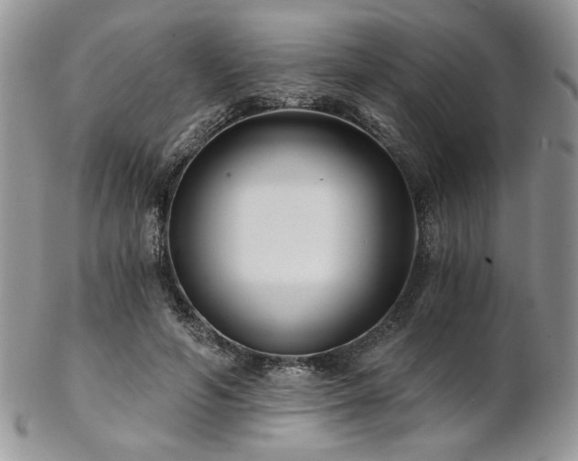 X0000102800594200808181202