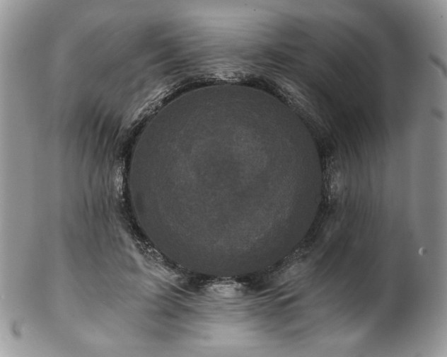 X0000102800595200808181202