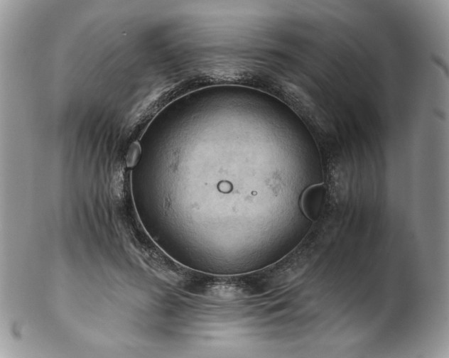 X0000102800596200808181202