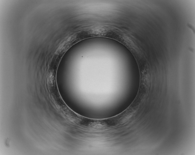 X0000102800597200808181202
