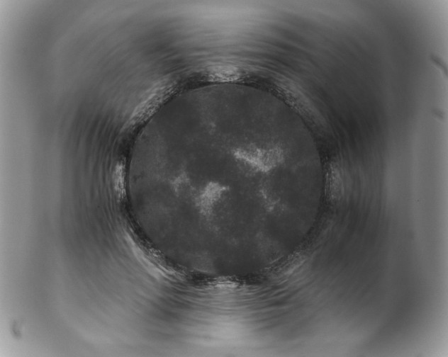 X0000102800598200808181202
