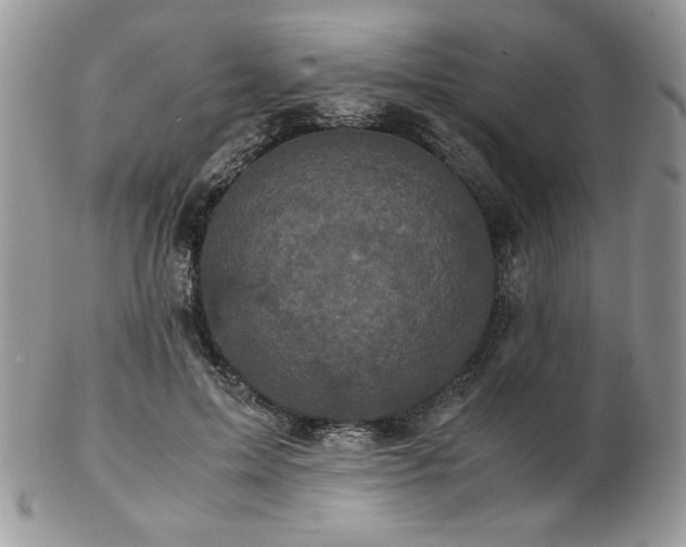 X0000102800599200808181202