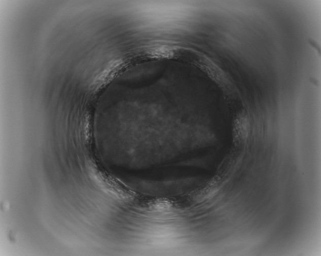 X0000102800600200808181202