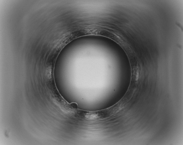 X0000102800602200808181202