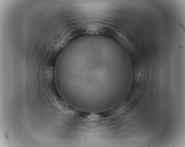 X0000102800603200808181202