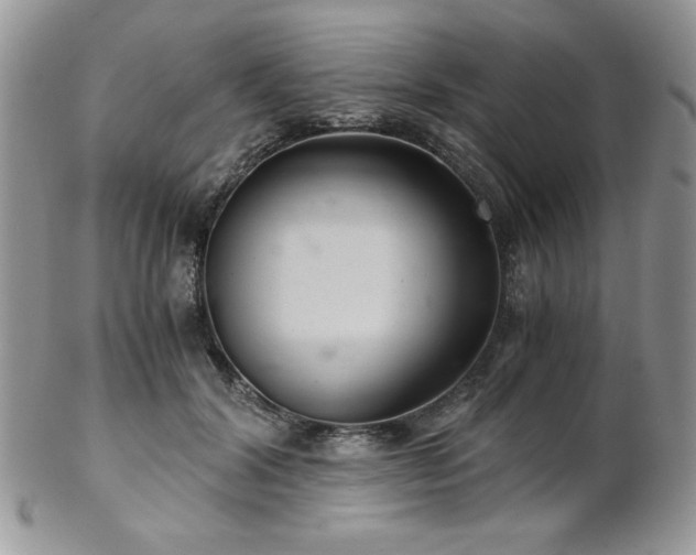 X0000102800604200808181202
