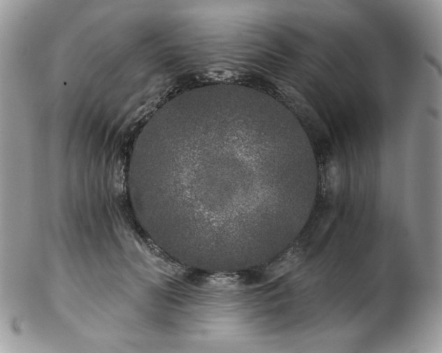 X0000102800606200808181202