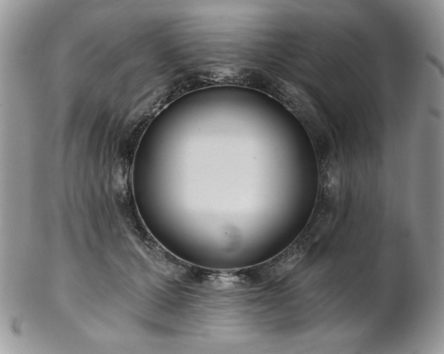 X0000102800607200808181202