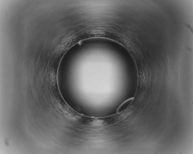X0000102800609200808181202