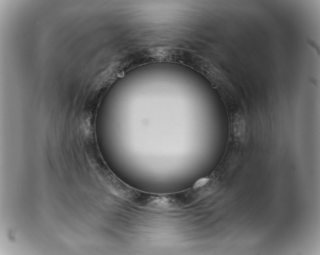 X0000102800611200808181202