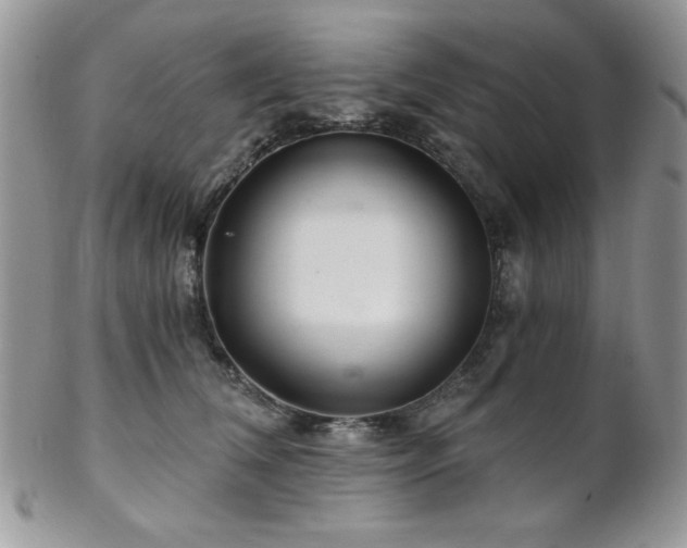 X0000102800612200808181202