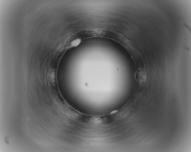 X0000102800613200808181202
