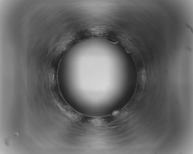 X0000102800615200808181202