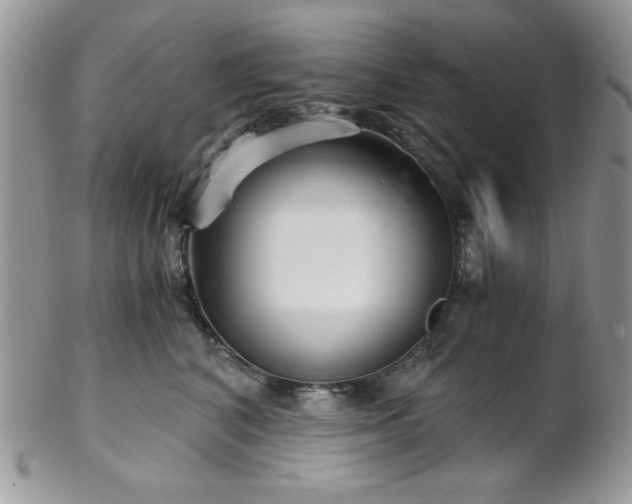 X0000102800616200808181202