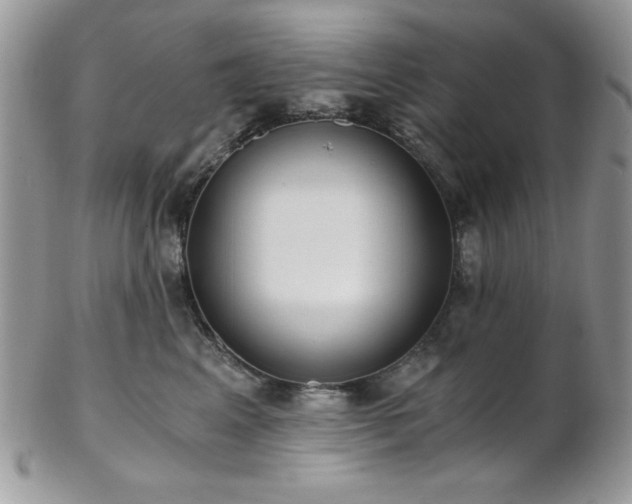X0000102800617200808181202