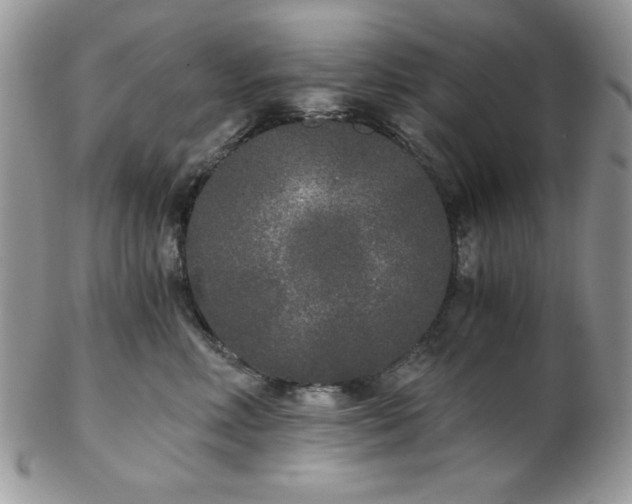 X0000102800618200808181202