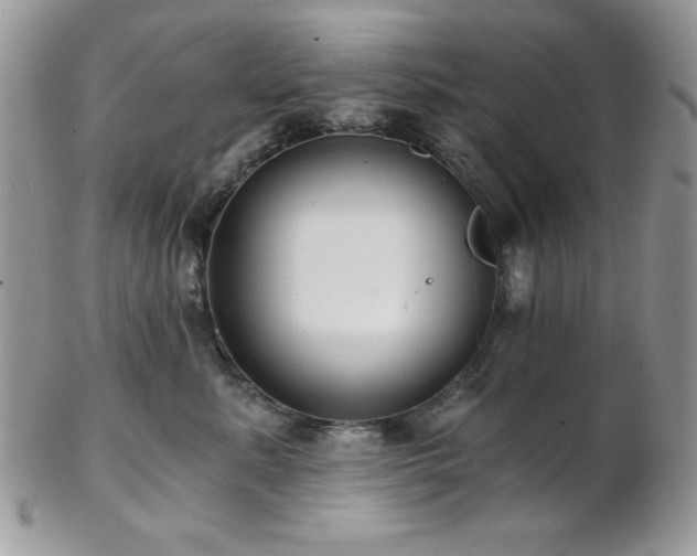 X0000102800619200808181202