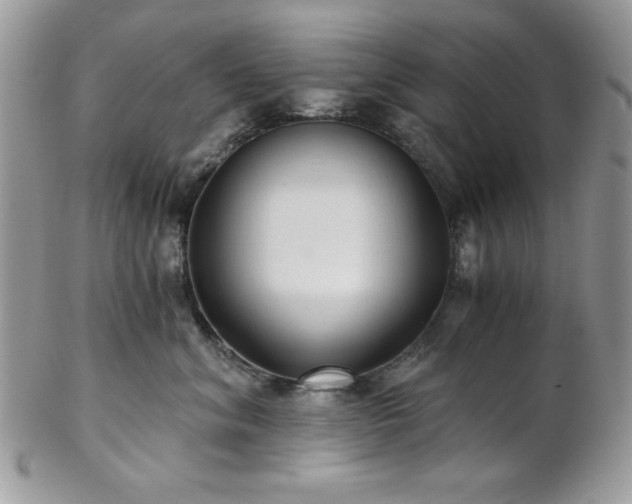 X0000102800620200808181202