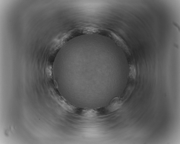 X0000102800621200808181202