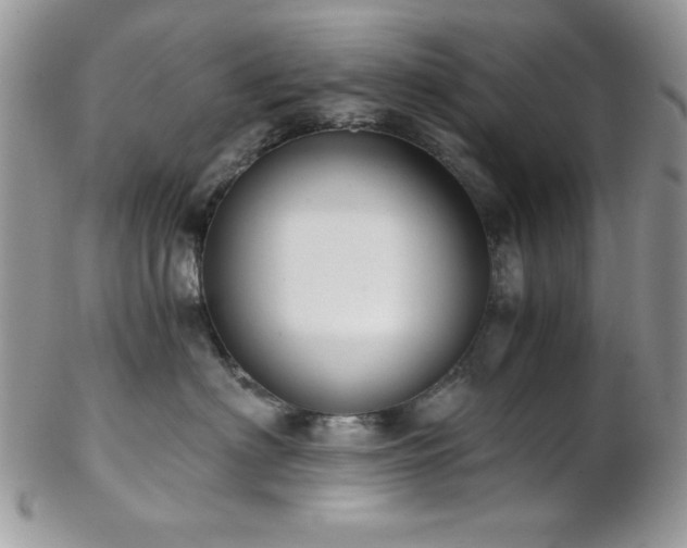 X0000102800622200808181202