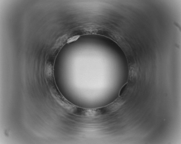 X0000102800623200808181202