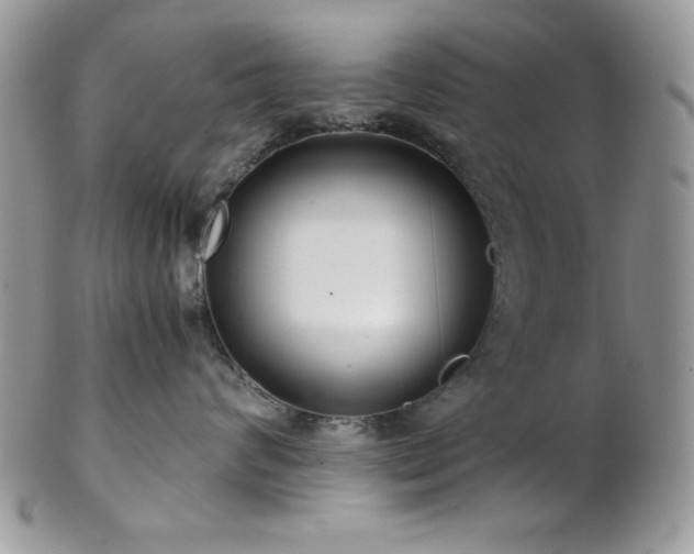 X0000102800624200808181202