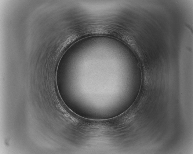 X0000102800625200808181201