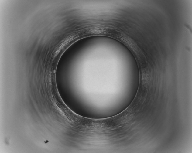 X0000102800626200808181201