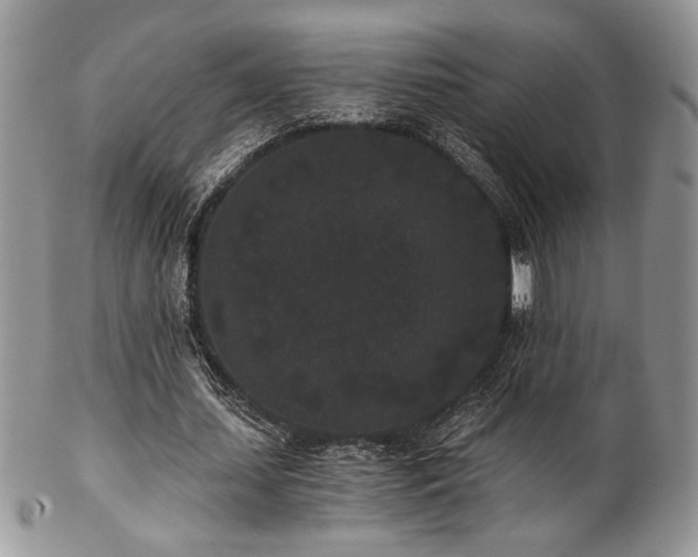 X0000102800627200808181201