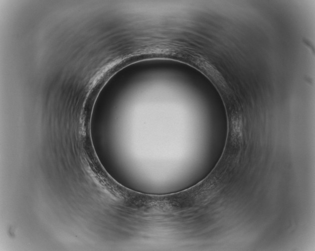 X0000102800628200808181201