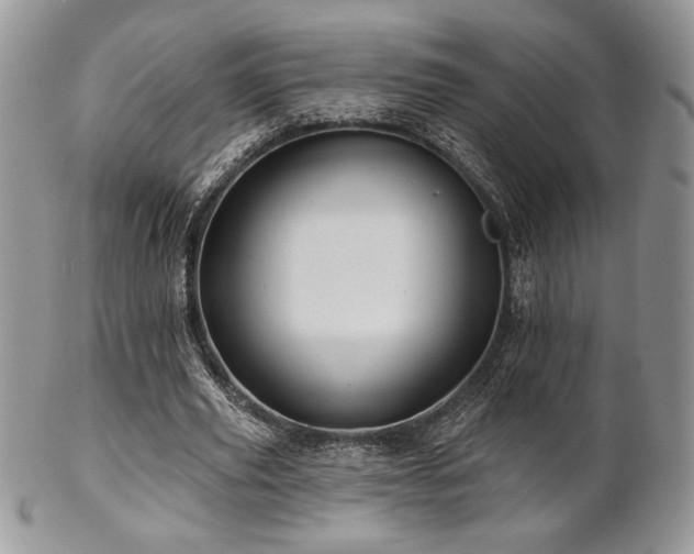 X0000102800629200808181201