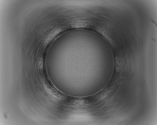 X0000102800631200808181201