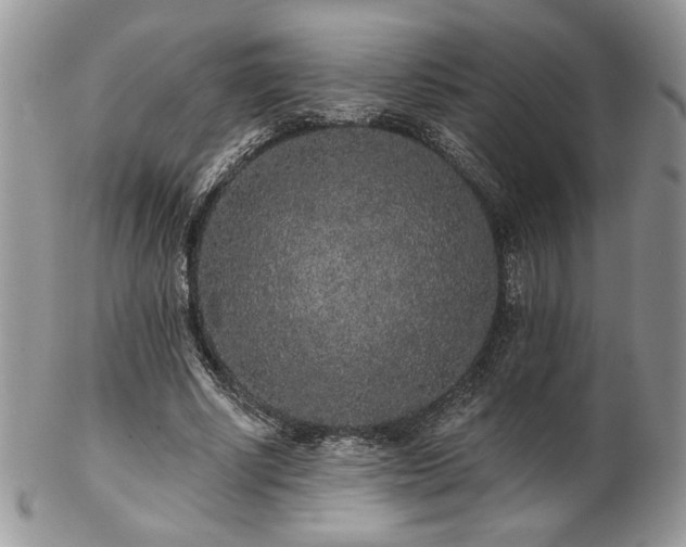 X0000102800634200808181201