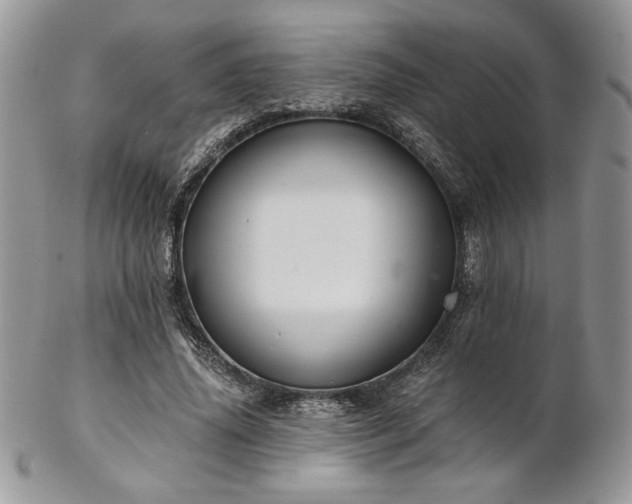 X0000102800636200808181201