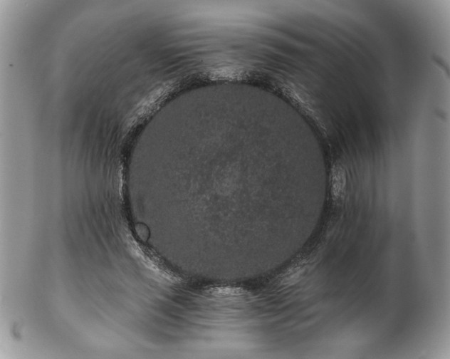 X0000102800637200808181201