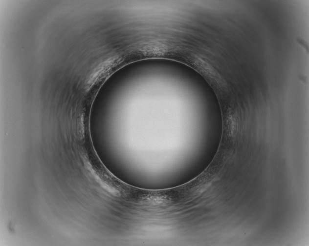 X0000102800638200808181201