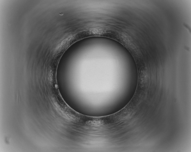 X0000102800639200808181201