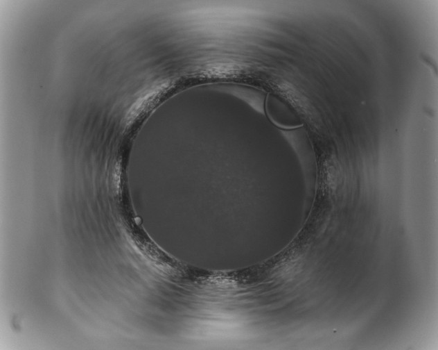 X0000102800640200808181201