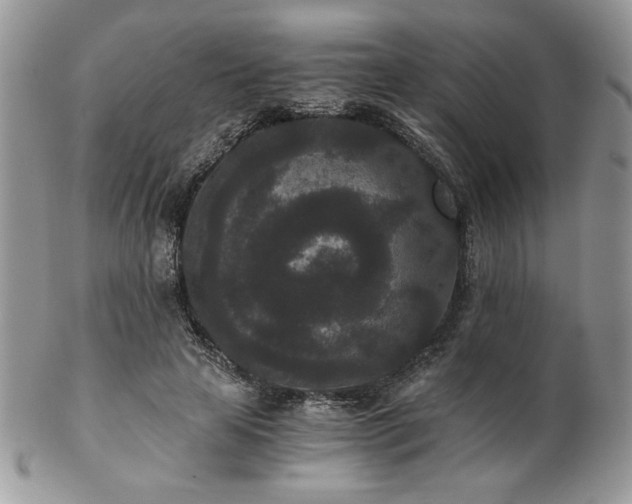X0000102800641200808181201