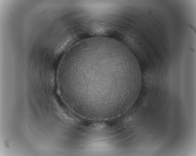 X0000102800642200808181201