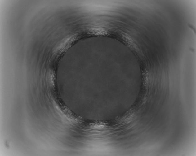 X0000102800643200808181201