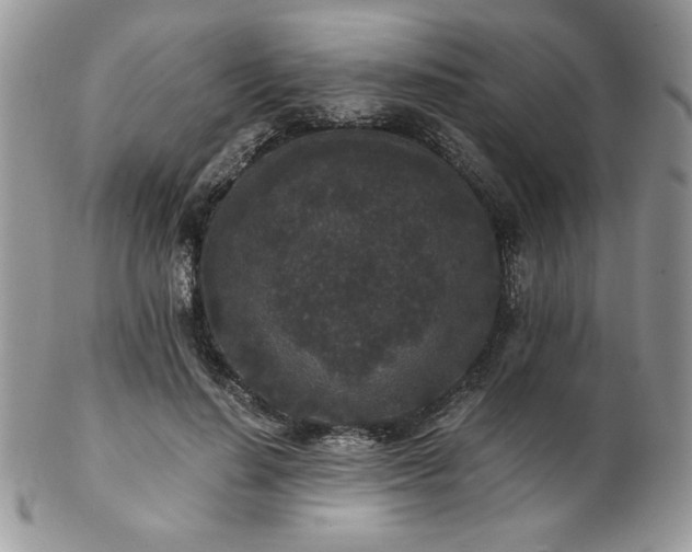 X0000102800644200808181201