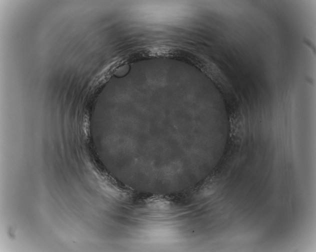 X0000102800648200808181201