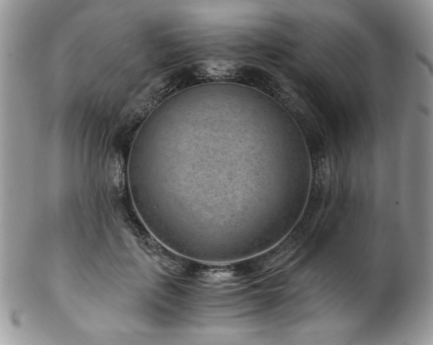 X0000102800651200808181202