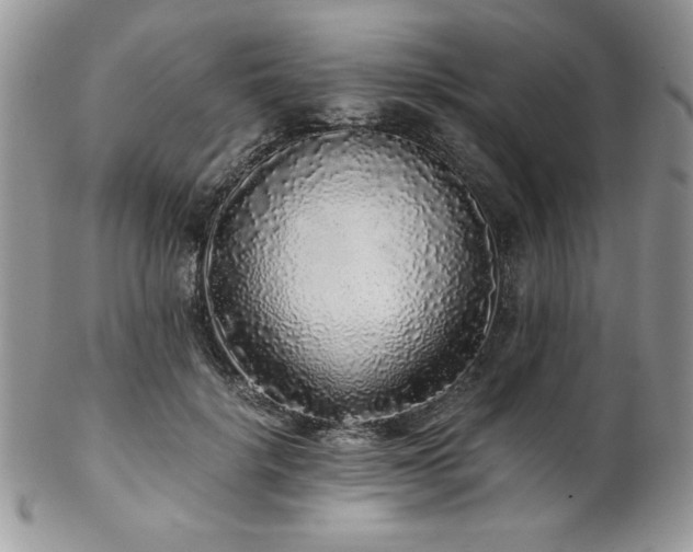 X0000102800652200808181202