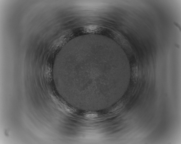 X0000102800653200808181202