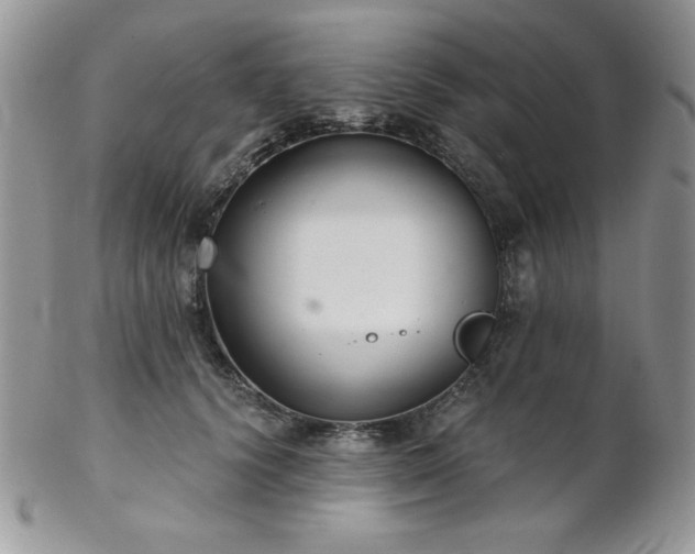 X0000102800656200808181202