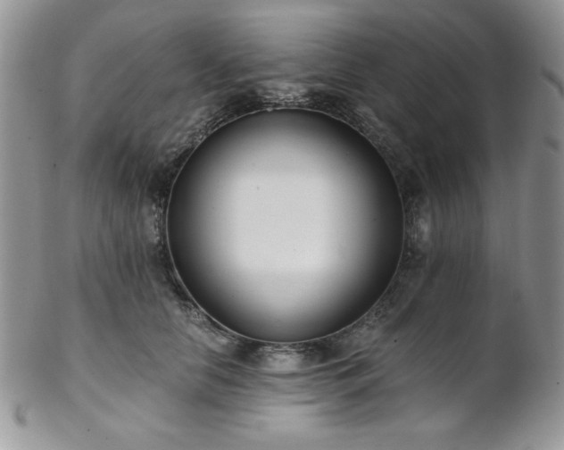 X0000102800658200808181202
