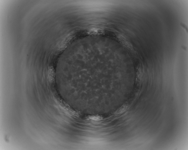X0000102800659200808181202